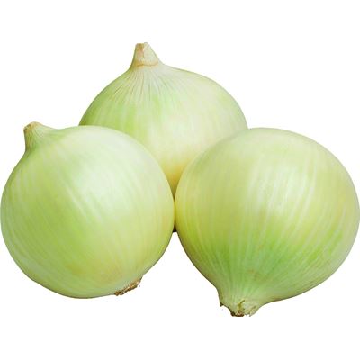 Cebola Inteira Descascada METRO Chef 2,5kg