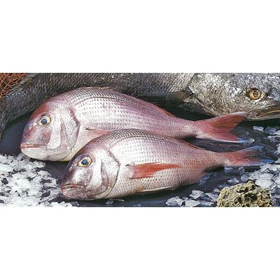 Pargo Fresco Inteiro +600g