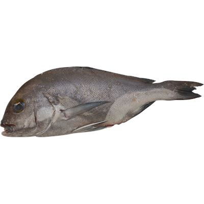 Pargo Mulato (Pombo) Fresco
