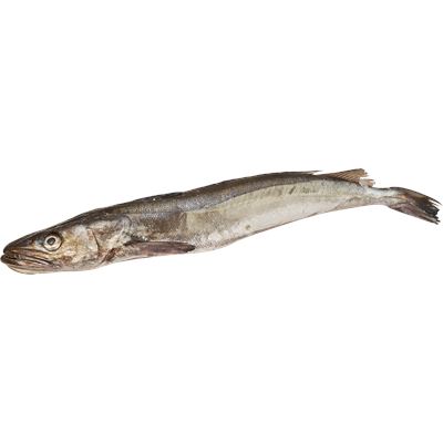 Pescada Inteira de Anzol +2 kg