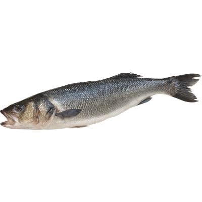 Robalo de Aquacultura Inteiro 200/300g