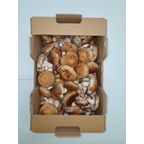 METRO Chef Cogumelo Shitake Categoria I 1kg