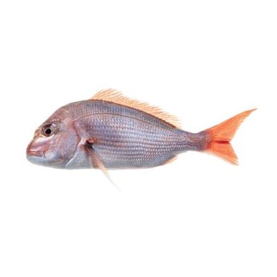 Pargo Fresco Inteiro +600g