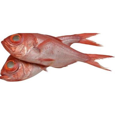 Peixe Selvagem Inteiro Salmonete/Alfonsino 600/1200 g