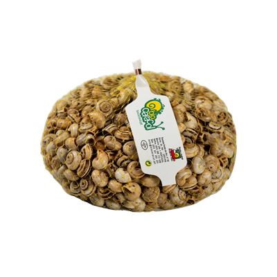 Caracol Vivo 1kg