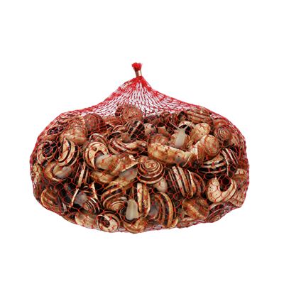 Caracoleta Viva 1kg