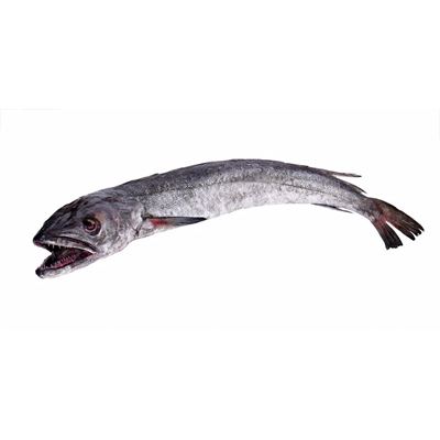 Pescada Nacional Inteira +3kg