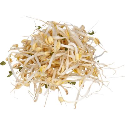 Rebentos de Feijão Mungo (Soja) 200g