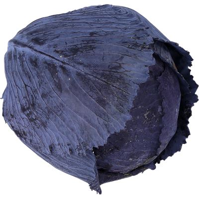 Couve Roxa METRO Chef Embalada 1kg