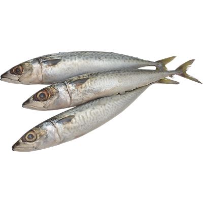 Cavala Fresca Inteira +1kg