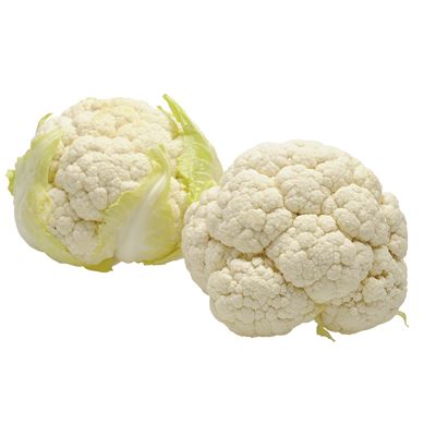 Conopida (Brassica oleracea)