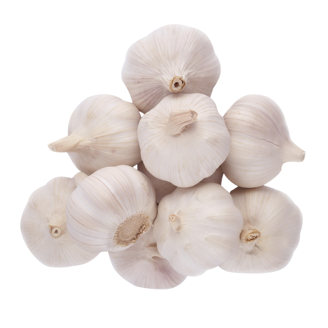 Usturoi (Allium Sativum)