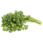 Patrunjel (Petroselinum crispum)