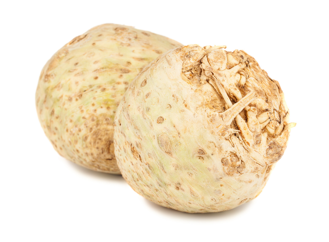 Telina (Apium Graveolens)