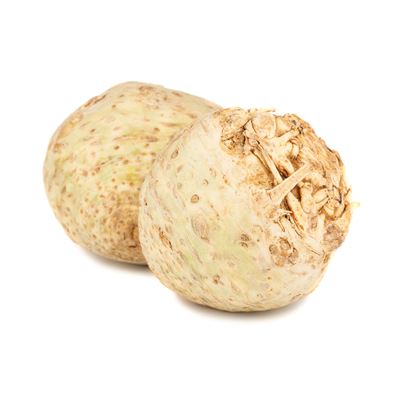 Telina (Apium Graveolens)