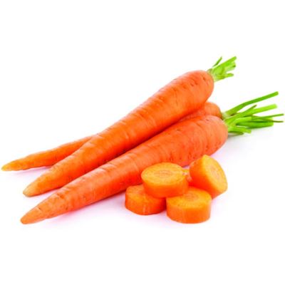Morcovi (Daucus carota)