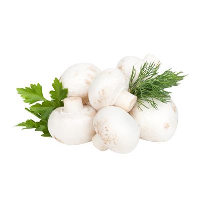Ciuperci Champignon Calibru 4-6