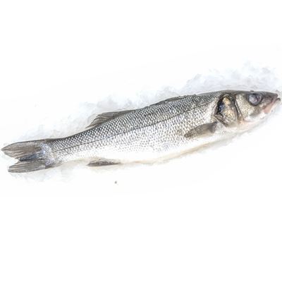 Biban de mare 300-400 g