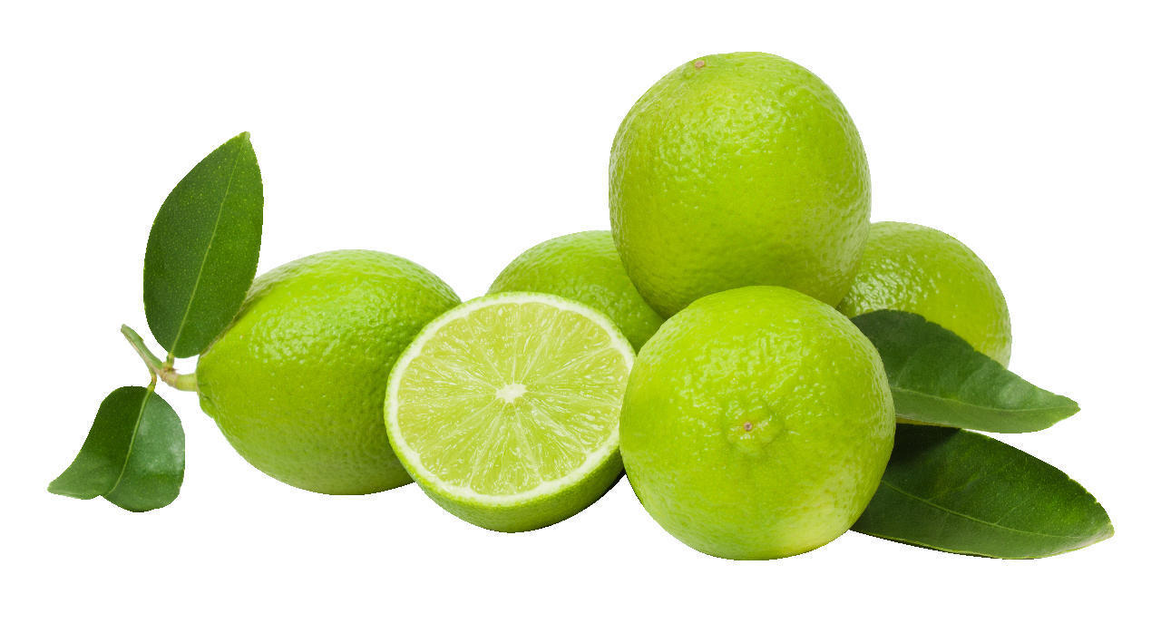 METRO Chef Lime (limes romanus)