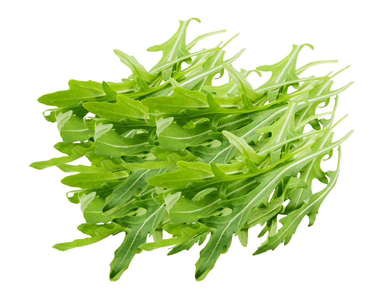 METRO Chef Rucola 500 g