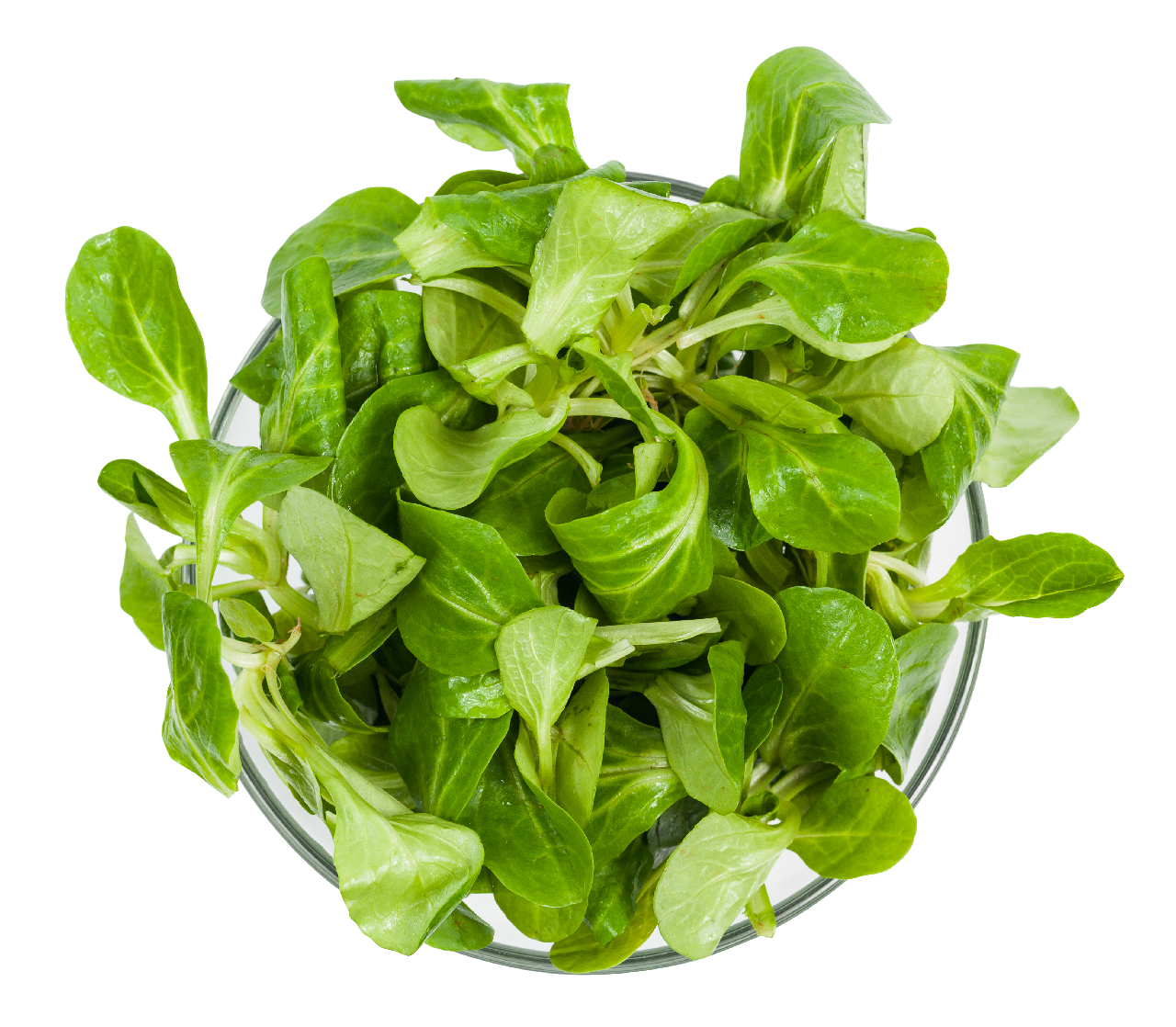 METRO Chef Valeriana 500 g