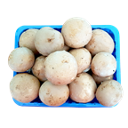 METRO Chef Ciuperci Champignon Brune 500 g