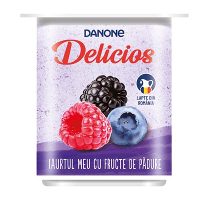 DANONE Delicios Iaurt Fructe de Padure 125 g