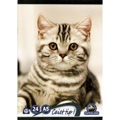 Caiet Tip 1 A5 24 File 10 bucati