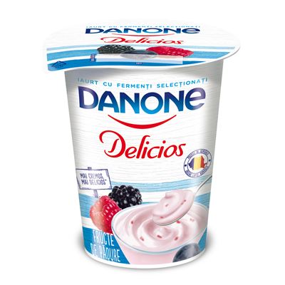DANONE Delicios Iaurt Fructe de Padure 400 g