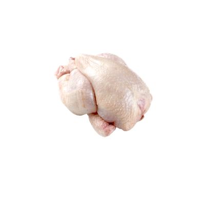 Rotterdam Pui Alb Poussin 500 g ❄