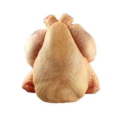 Pui Coquelet Congelat Calibru 500-550 g ❄