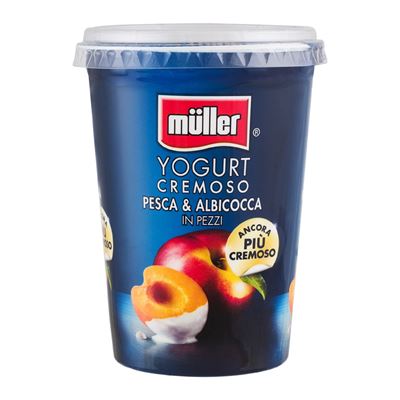 MULLER Iaurt Piersici 500 g