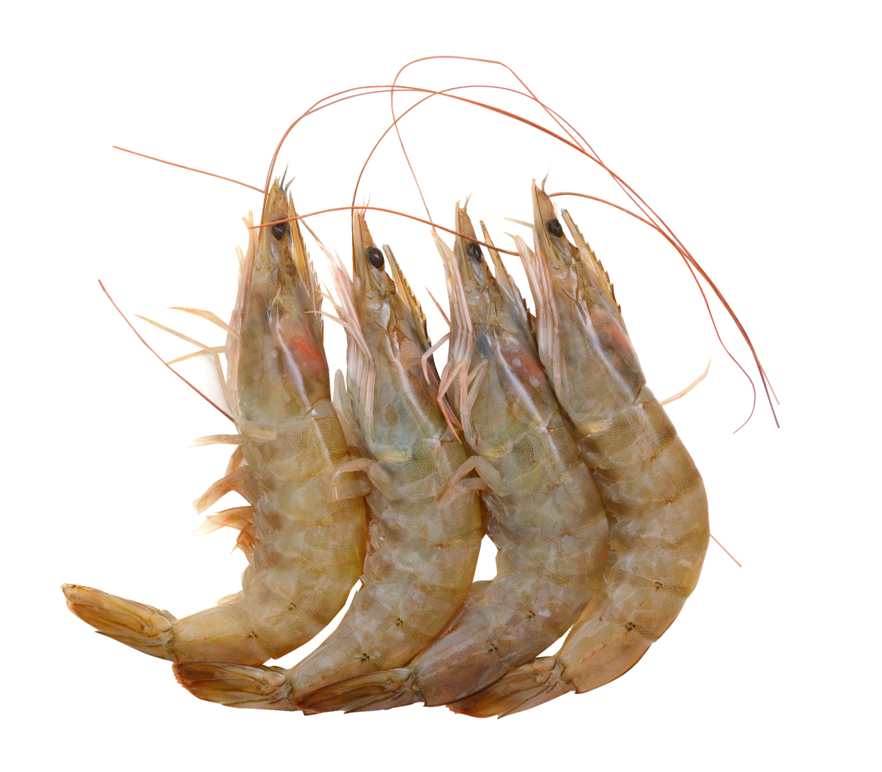 Creveti Cruzi 30 - 40 1 Kg