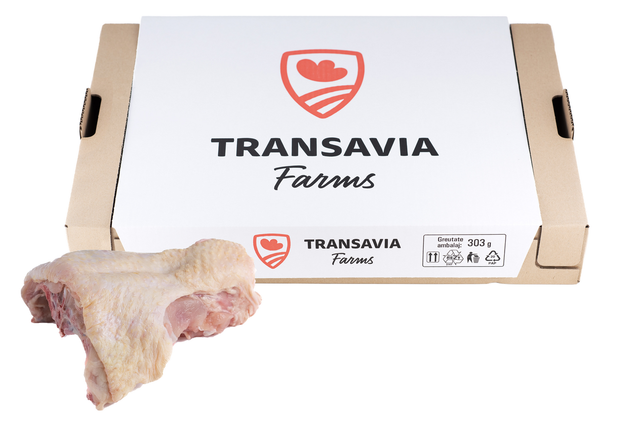 FRAGEDO ICE Spinari de Pui 10 Kg ?