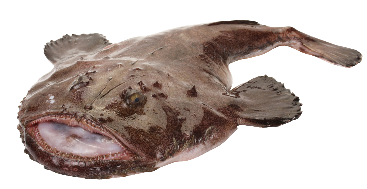 Peste Unditar 500 g+