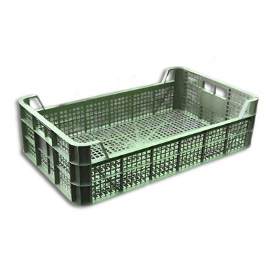 Ladita Legume & Fructe Verde 50 x 30 x 13 cm