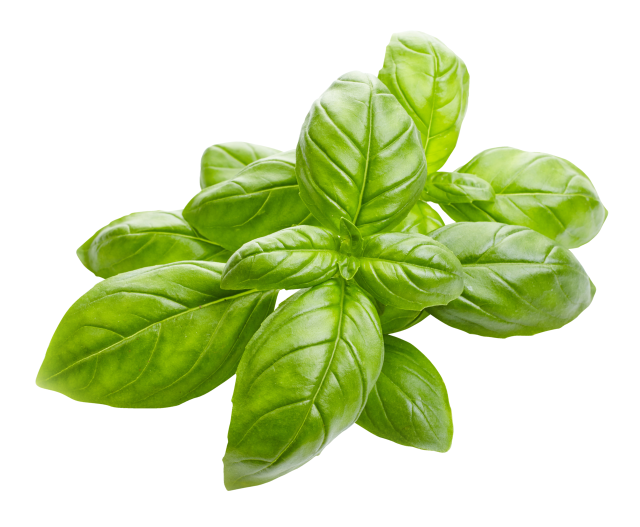 METRO Chef Busuioc 300 g
