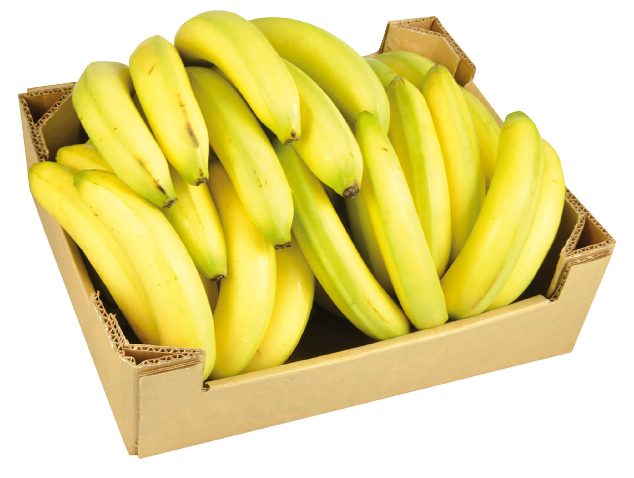 Banane Soi Cavendish