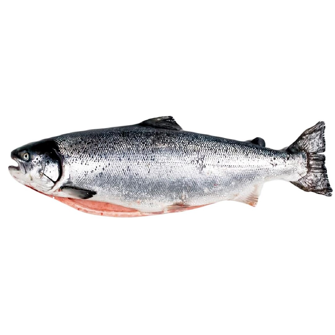 Somon Eviscerat 1 - 2 Kg