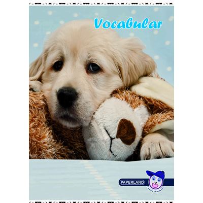 PAPERLAND Vocabular 24 File Hartie 60 g / mp 10 bucati