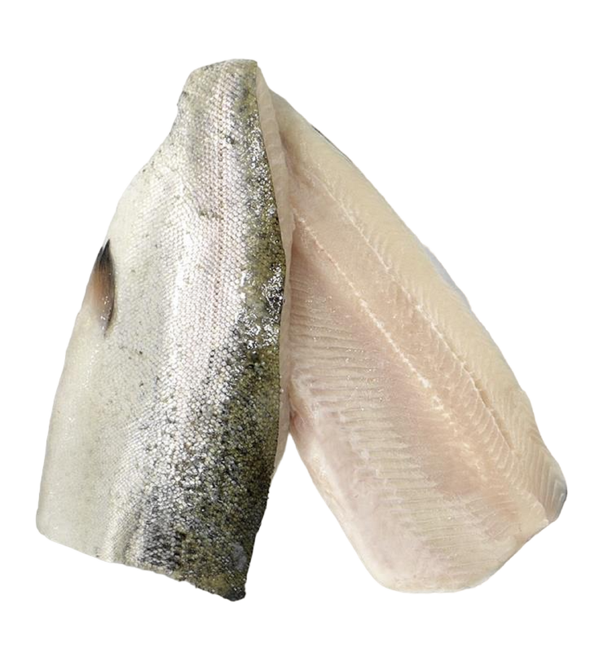 Pastrav File 80 - 120 g