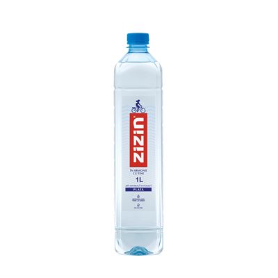 ZIZIN Apa Minerala Plata SGR 6 x 1 L