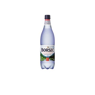 BORSEC Apa Minerala Carbogazoasa SGR 6 x 1 L