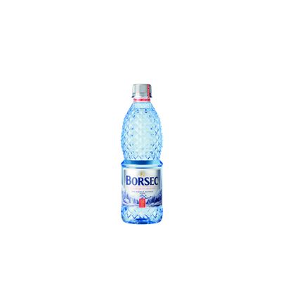 BORSEC Apa Minerala Necarbogazoasa SGR 12 x 0,50 L