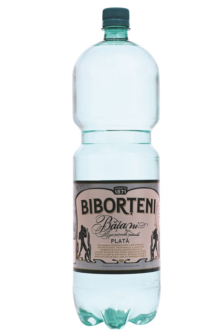 BIBORTENI Apa Minerala Plata SGR 6 x 2 L