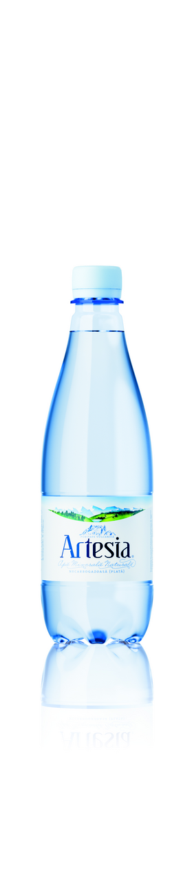 Artesia Apa Minerala Plata SGR 12 x 0,5 L