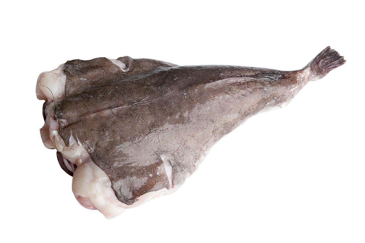 Cozi Peste Unditar Calibru 2 - 4 Kg