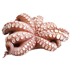 METRO Chef Caracatita Calibru 2 - 3 Kg ❄