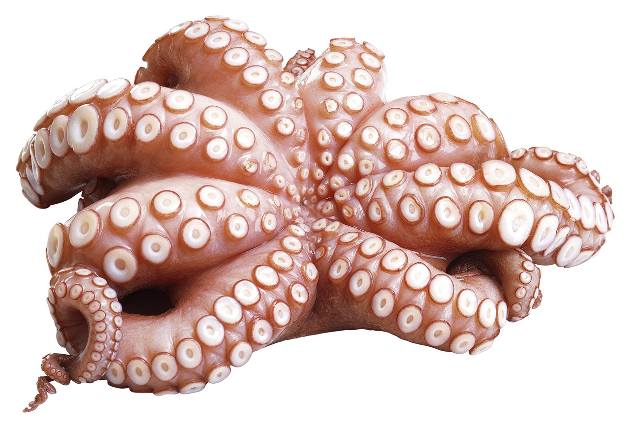 METRO Chef Caracatita Flower Type Calibru T3 ?