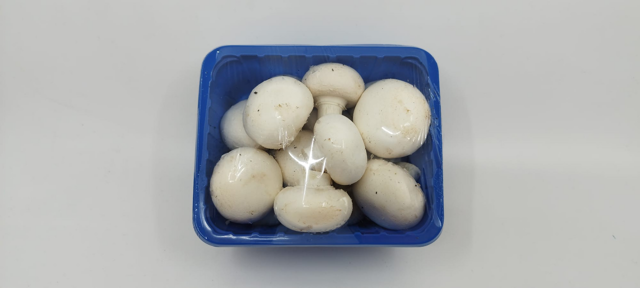 METRO Chef Ciuperci Champignon Calibru 3-4 250 g